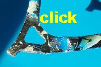 Many iterations of this